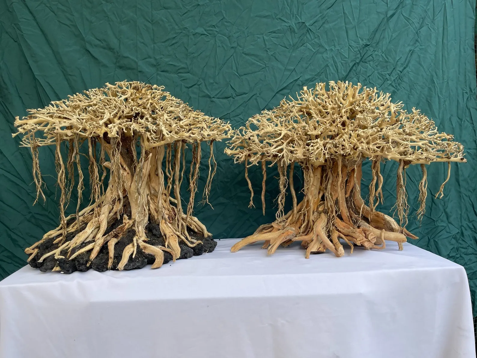 Mushroom drift wood bonsai tree aquarium wood aquascape driftwood fish tank plants