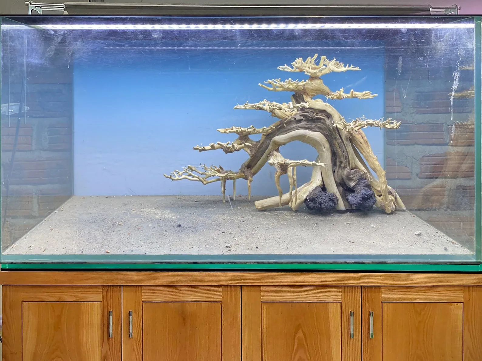 Aquarium bonsai driftwood freshwater plants for fish tank decorations