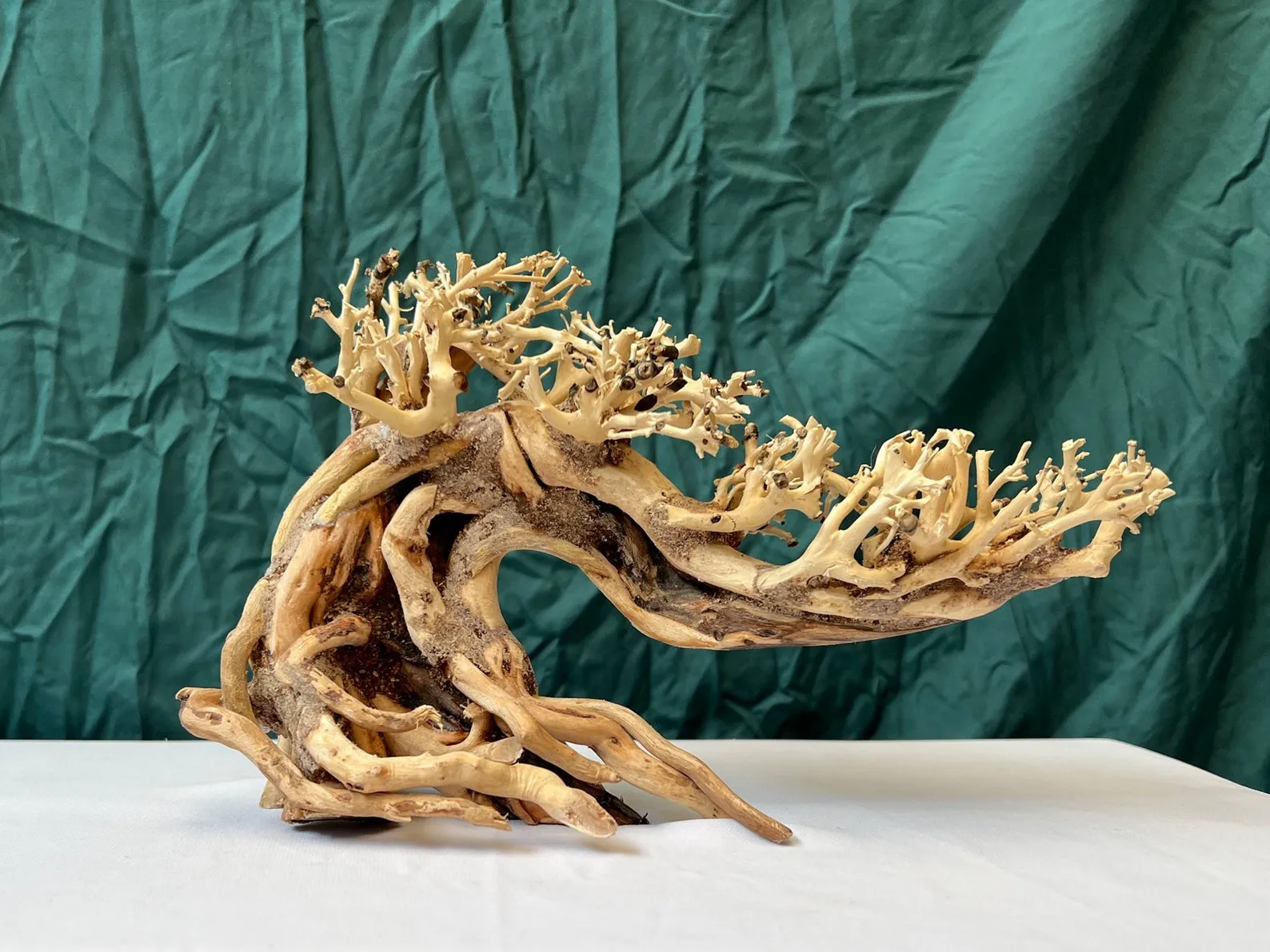 Drift wood bonsai tree aquarium decoration driftwood stump fish tank decor