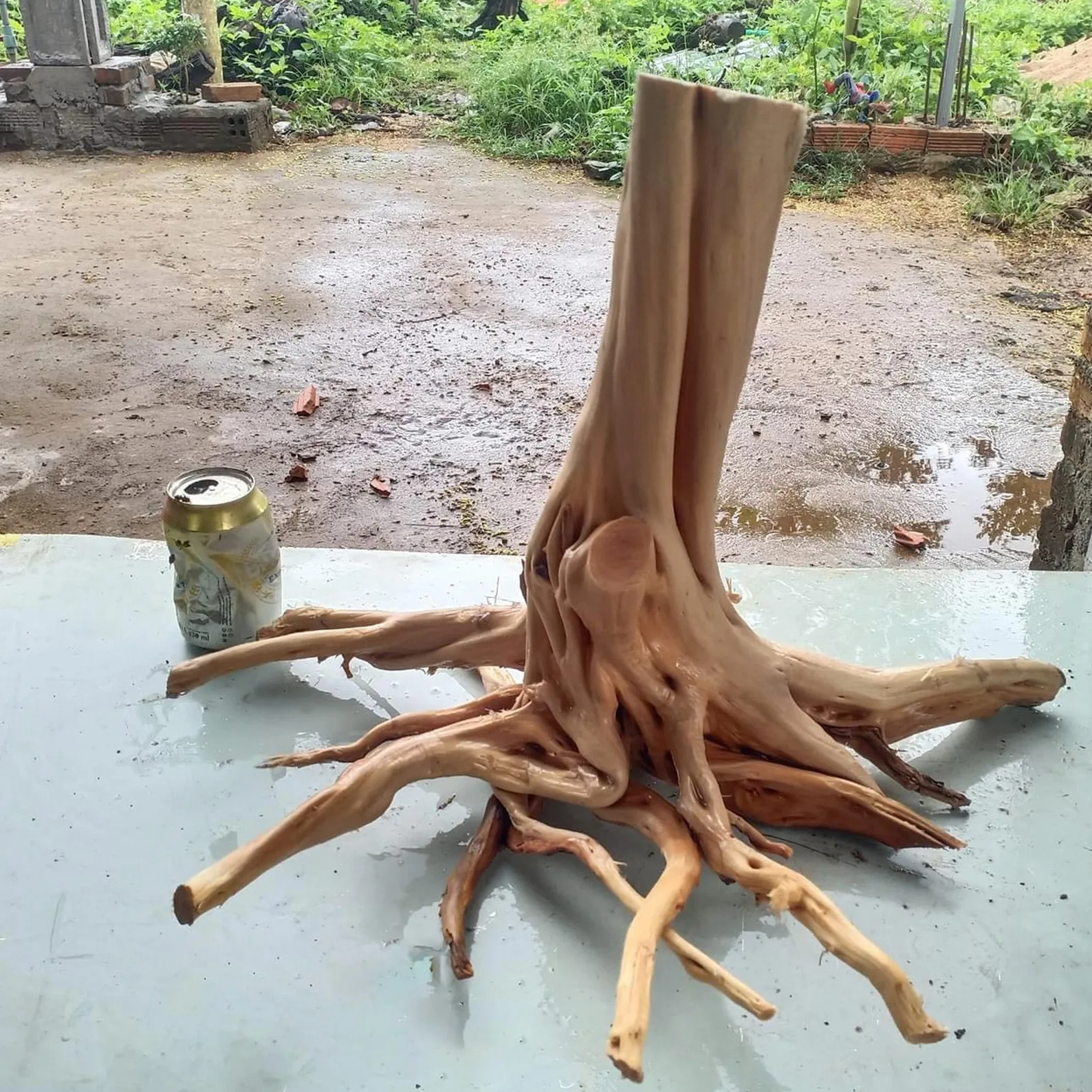 Driftwood stump aquarium decor artisan driftwood creations for fish tanks - Image 10