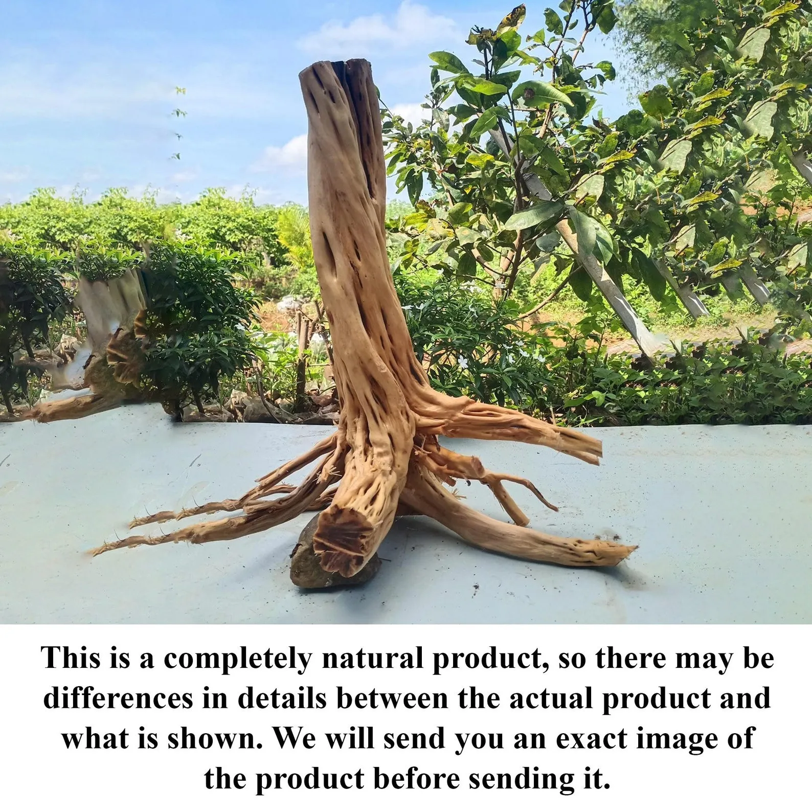 Driftwood stump aquarium decor artisan driftwood creations for fish tanks - Image 3