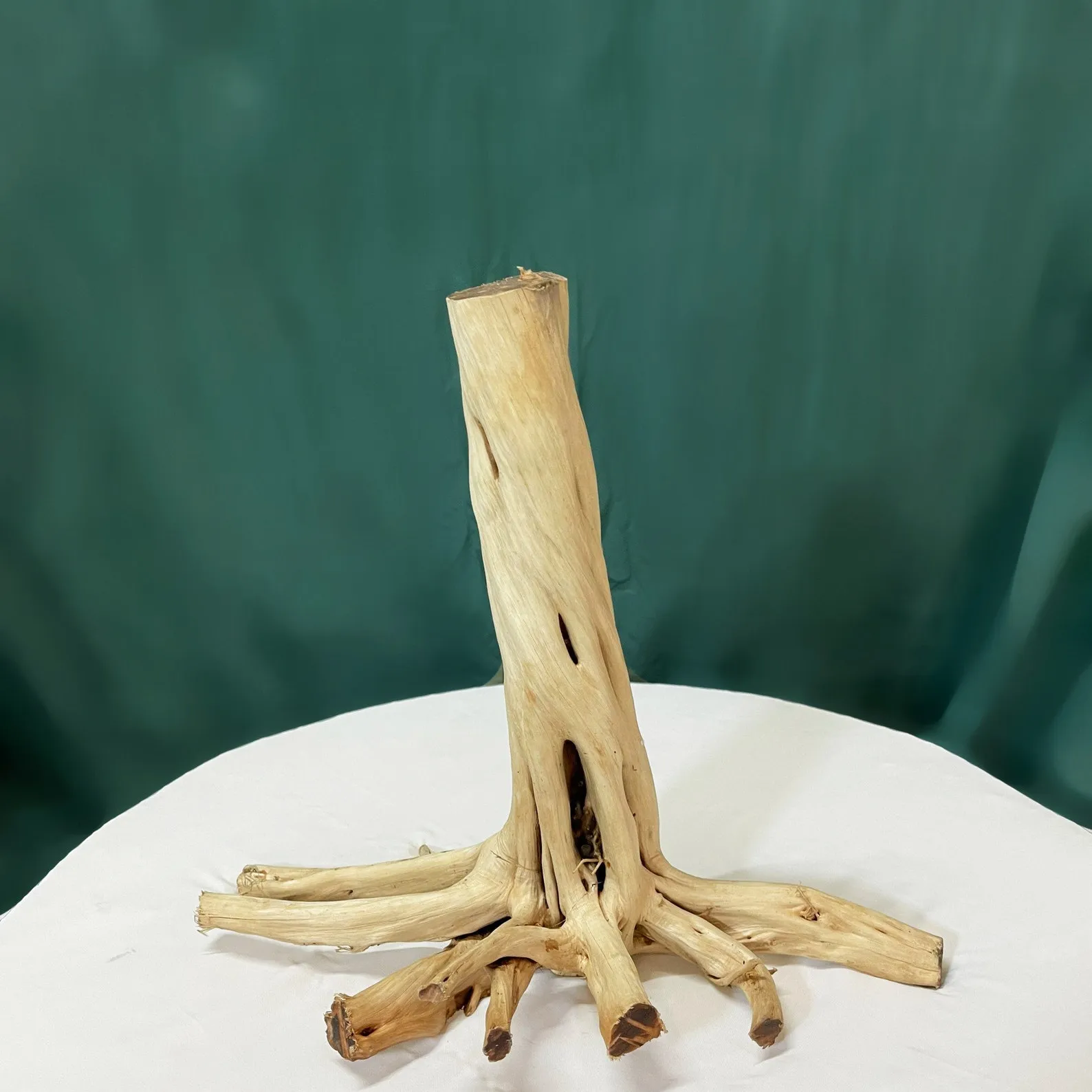 Driftwood stump aquarium decor artisan driftwood creations for fish tanks - Image 5