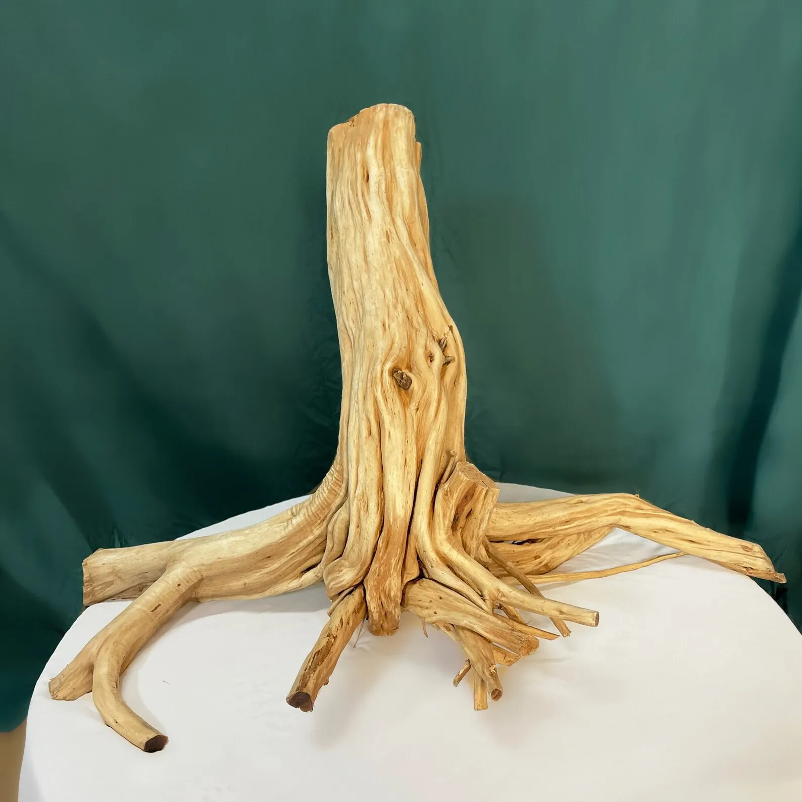 Driftwood stump aquarium decor artisan driftwood creations for fish tanks - Image 6