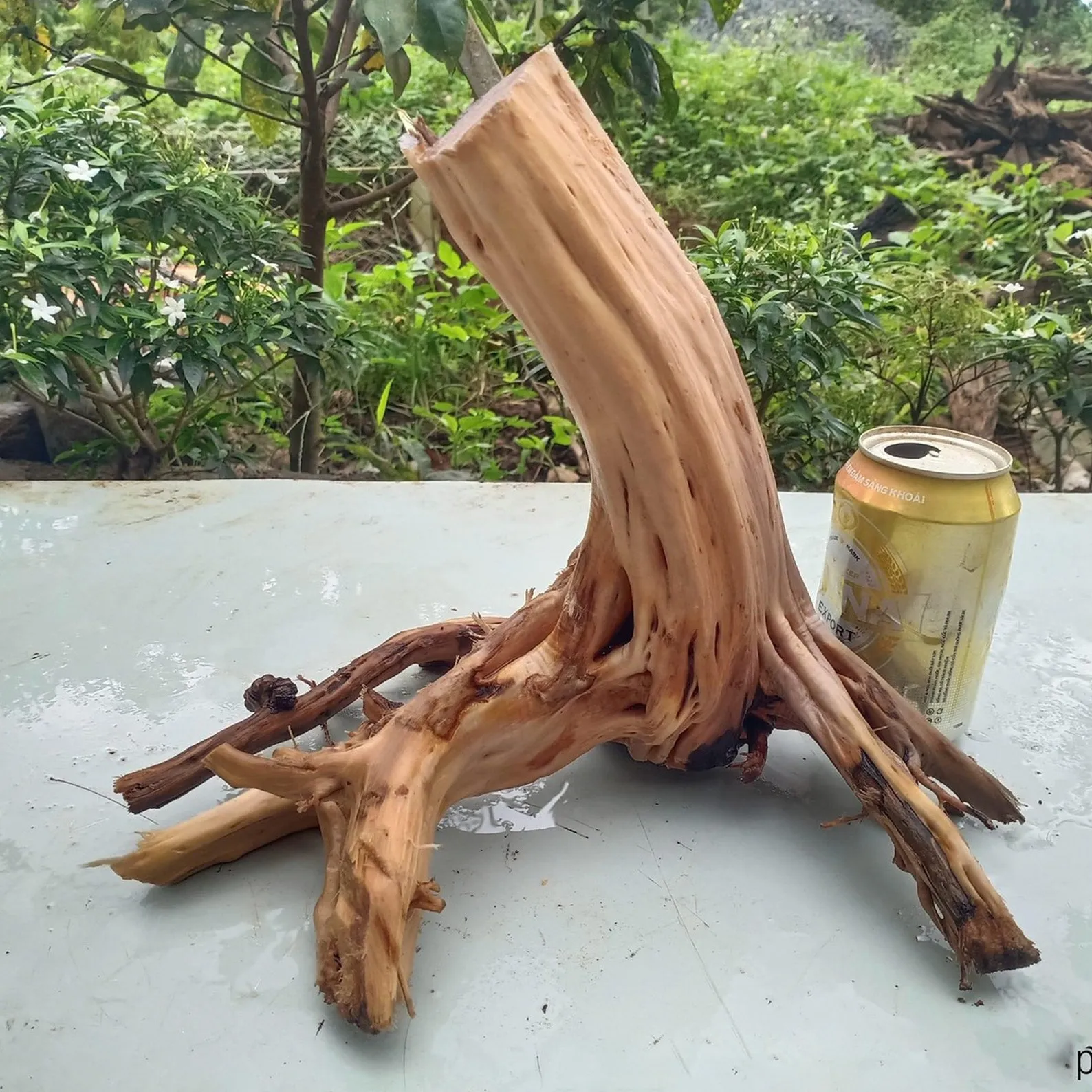 Driftwood stump aquarium decor artisan driftwood creations for fish tanks - Image 9