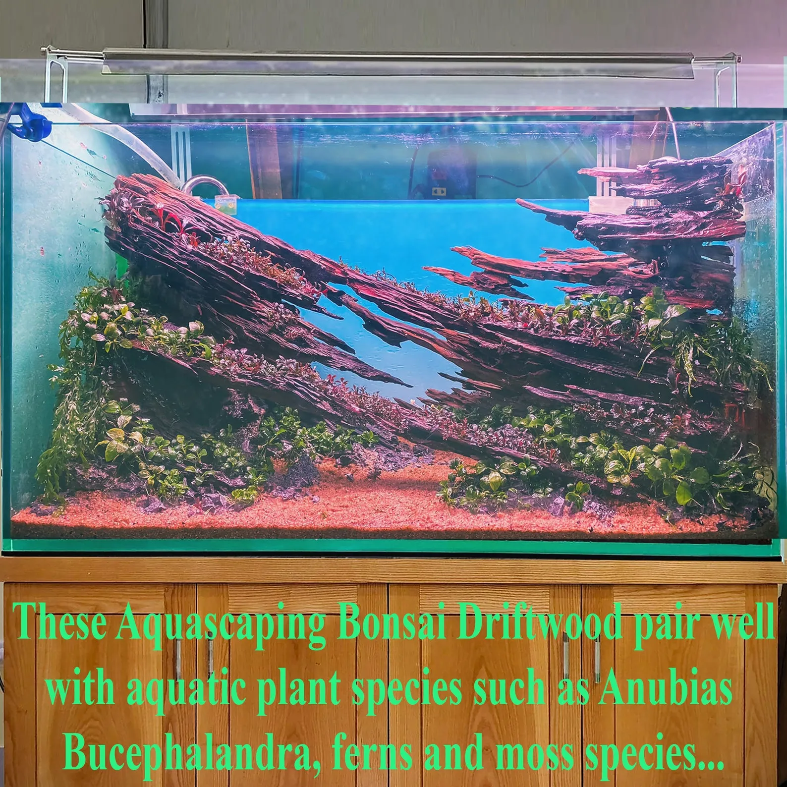 Aquarium driftwood large aquascaping stone for fish tank decorations gift for him - Image 3