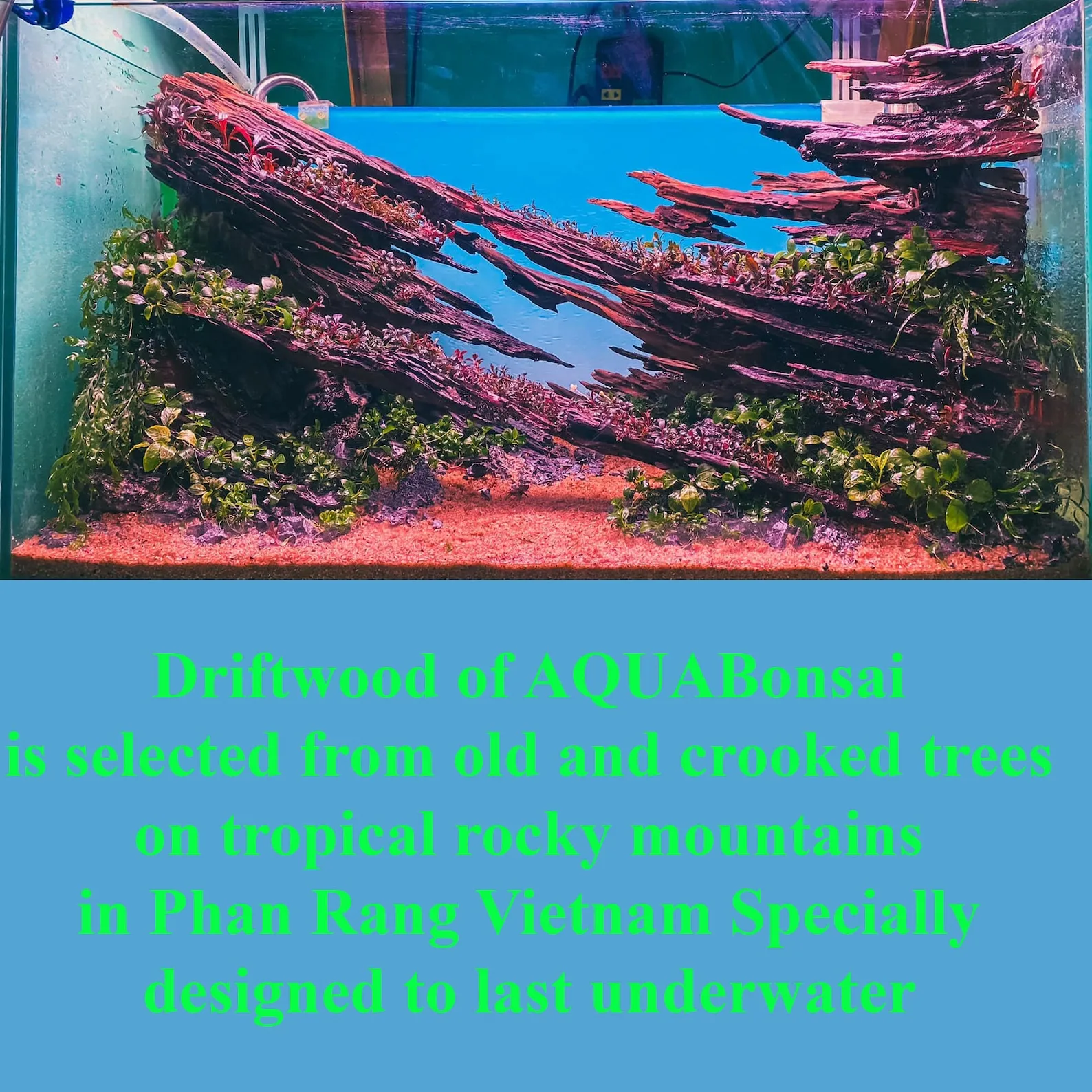 Aquarium driftwood large aquascaping stone for fish tank decorations gift for him - Image 6