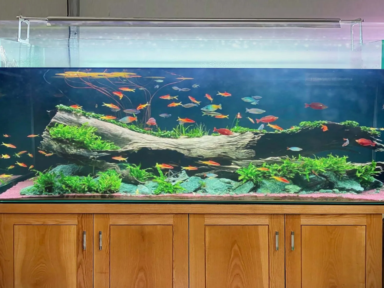 Driftwood Aquarium Cave Aquascape Decorative Drift wood Fish Tank