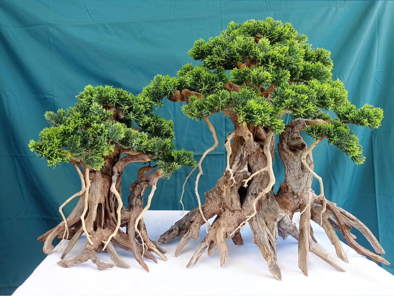 Aquarium driftwood bonsai aquascaping for fish tank d?cor coffee table art