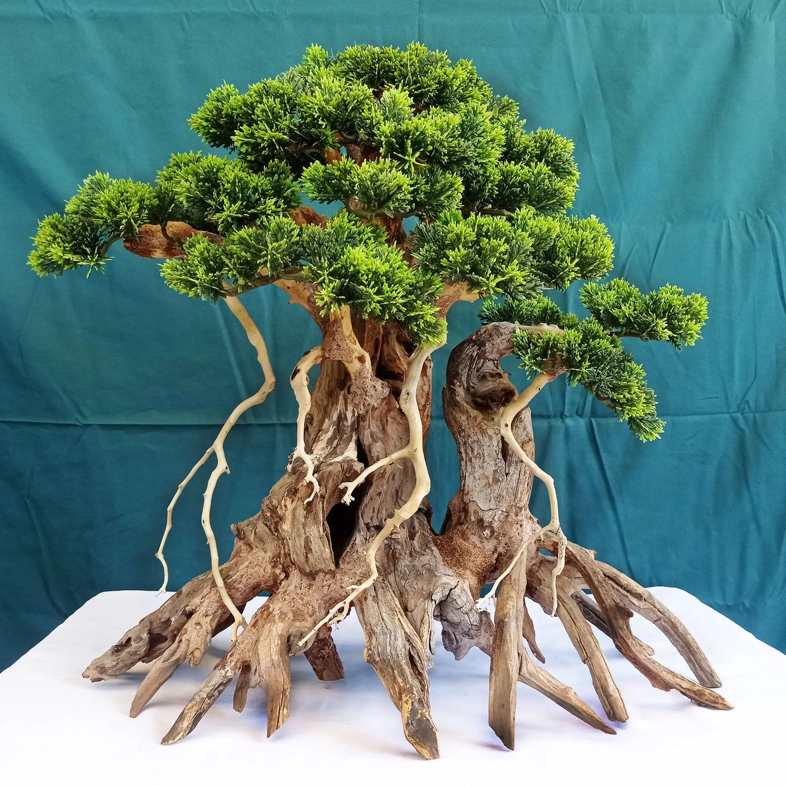 Aquarium driftwood bonsai aquascaping for fish tank d?cor coffee table art - Image 2