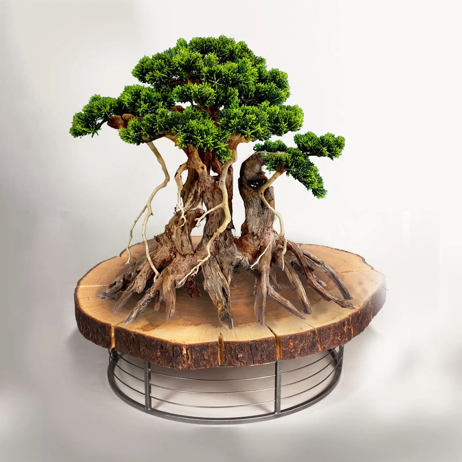 Aquarium driftwood bonsai aquascaping for fish tank d?cor coffee table art - Image 3