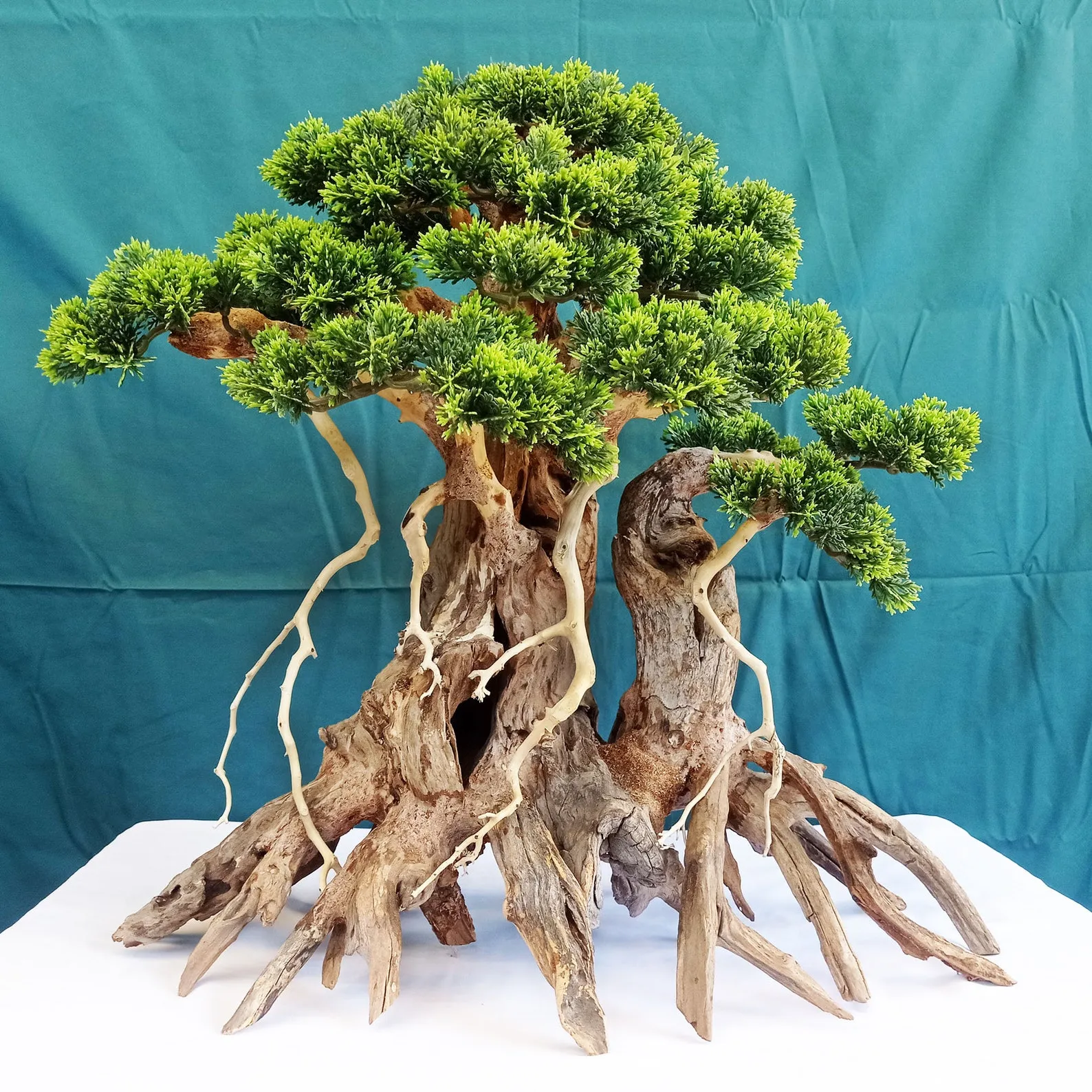 Aquarium driftwood bonsai aquascaping for fish tank d?cor coffee table art - Image 4