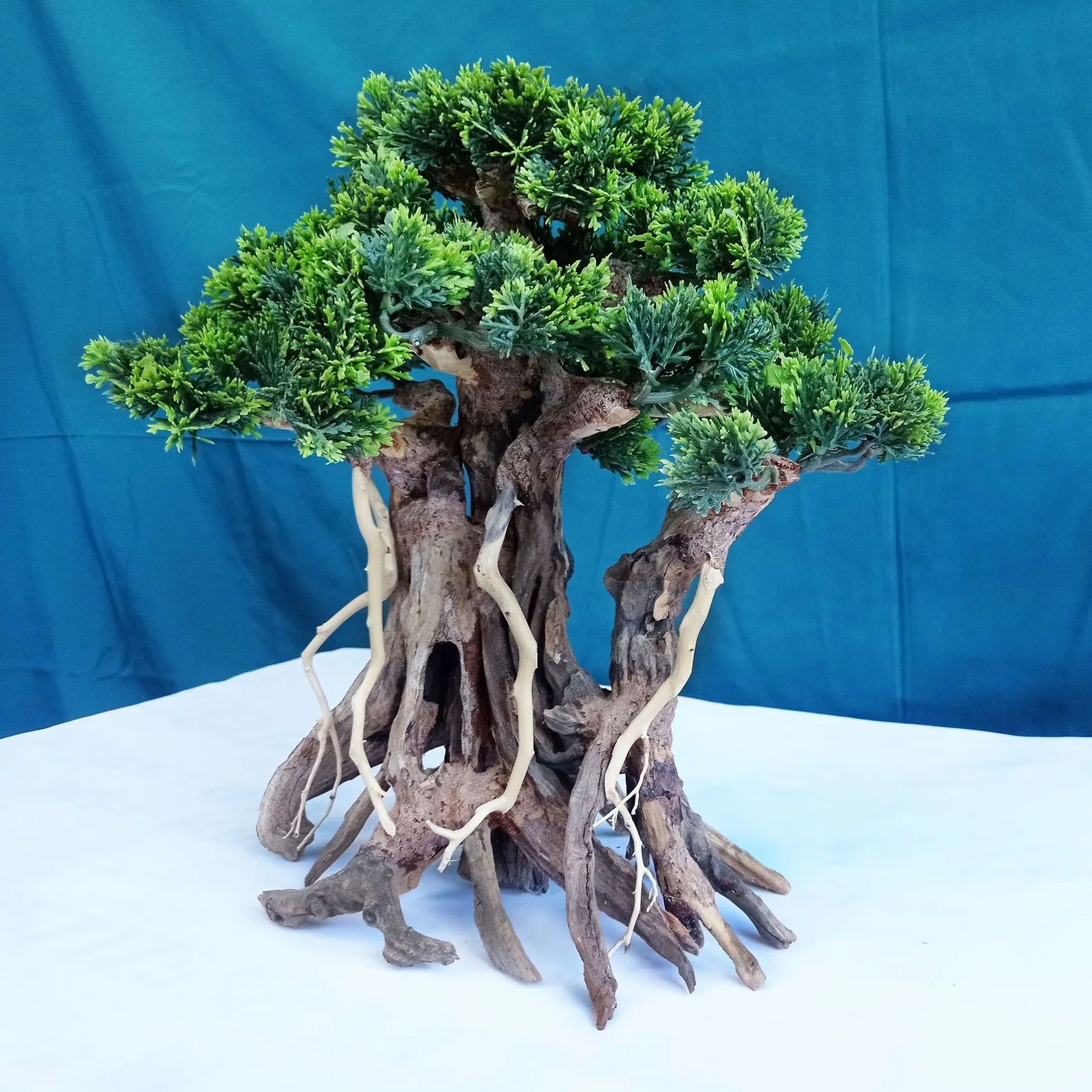 Aquarium driftwood bonsai aquascaping for fish tank d?cor coffee table art - Image 5