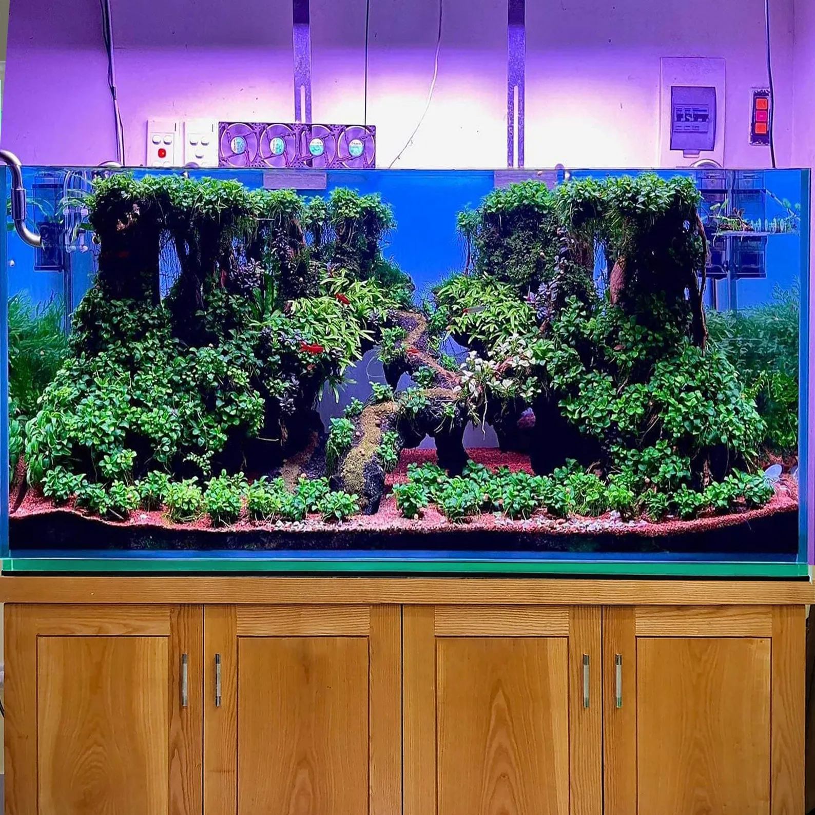 Aquarium driftwood bonsai tree hardscape aquascape drift wood fish tank decor hide great gifts for him