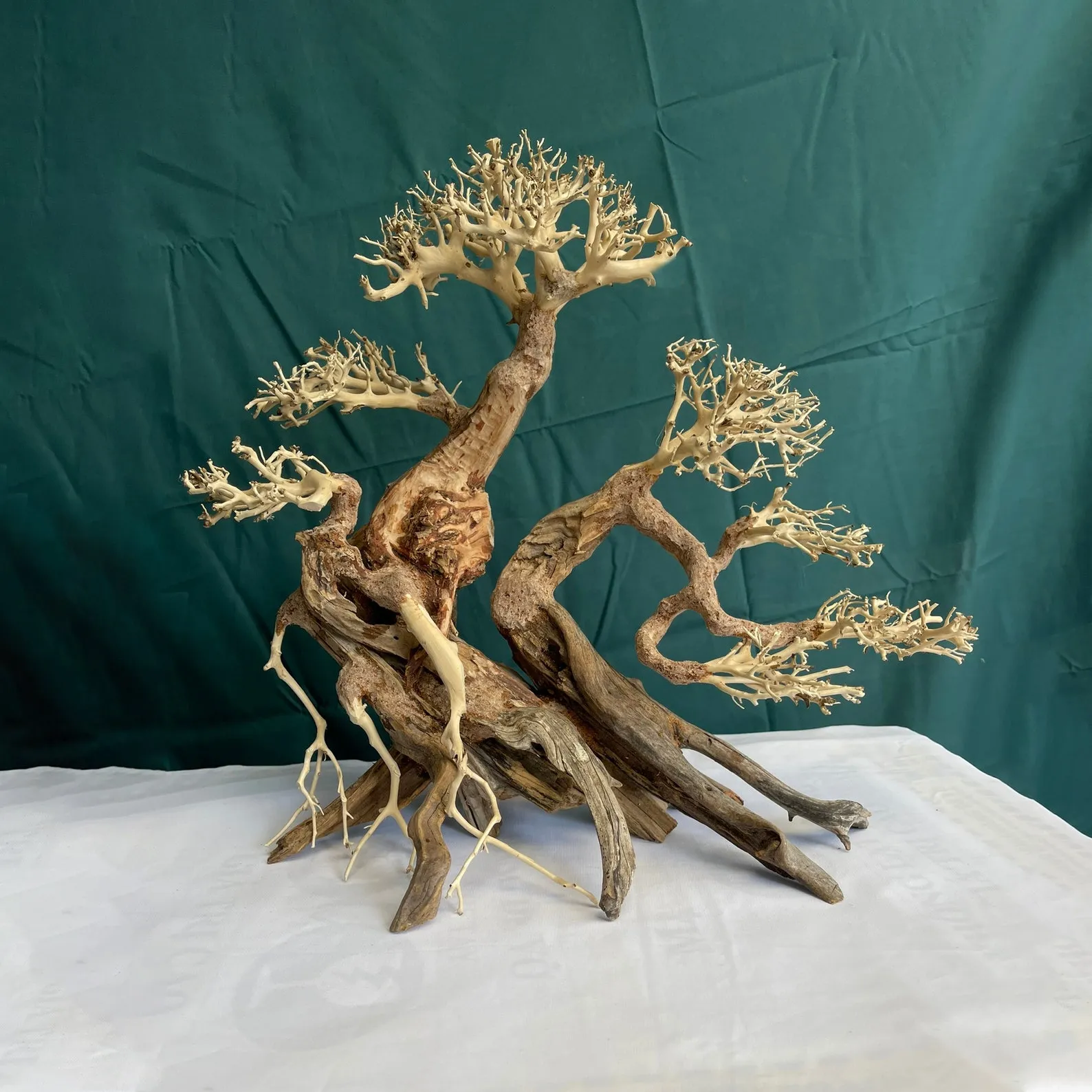 Bonsai driftwood aquarium plants aquascape wood fish tank decor hardscape superfish