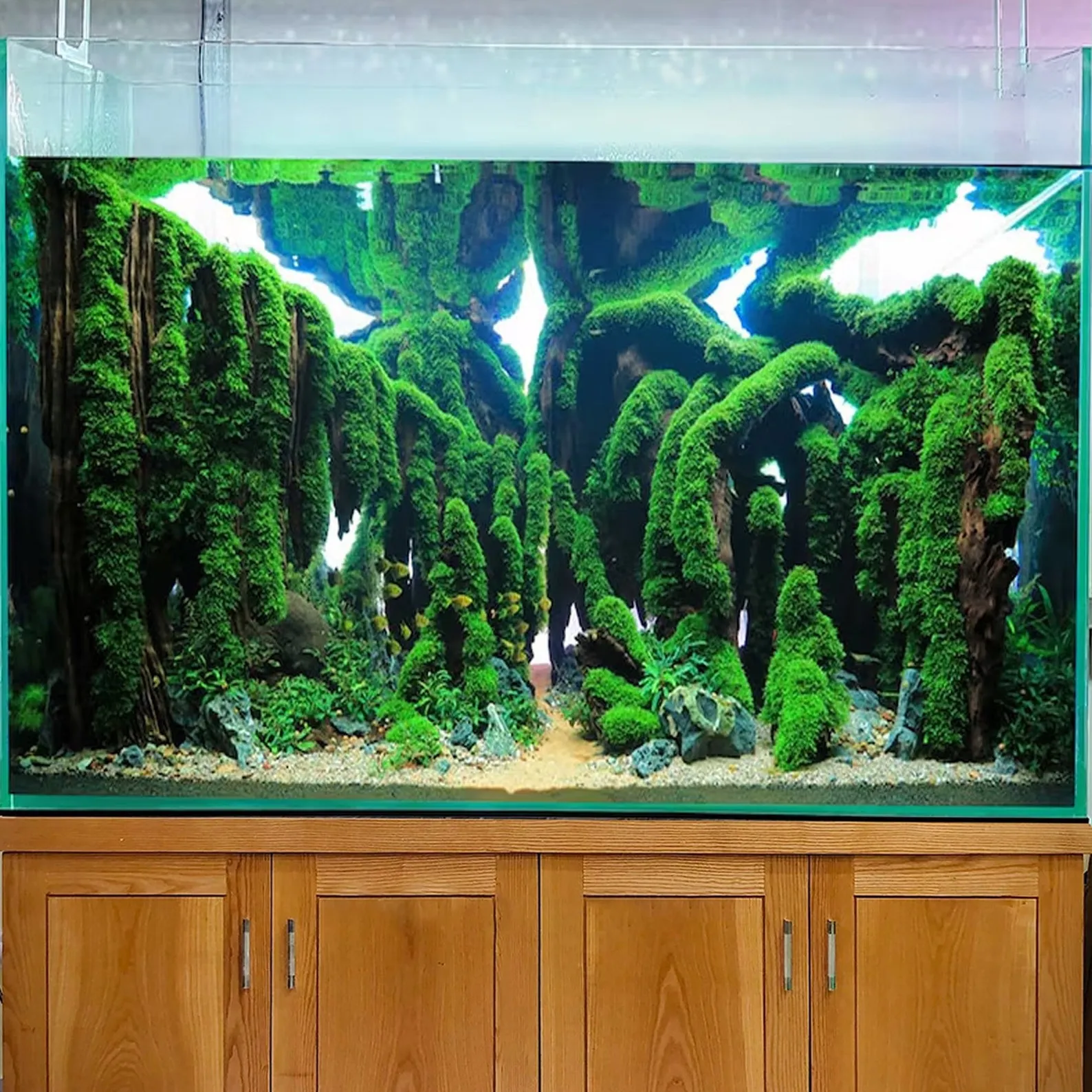 Aquascaping bonsai aquarium driftwood large landscape rock for fish tank decor