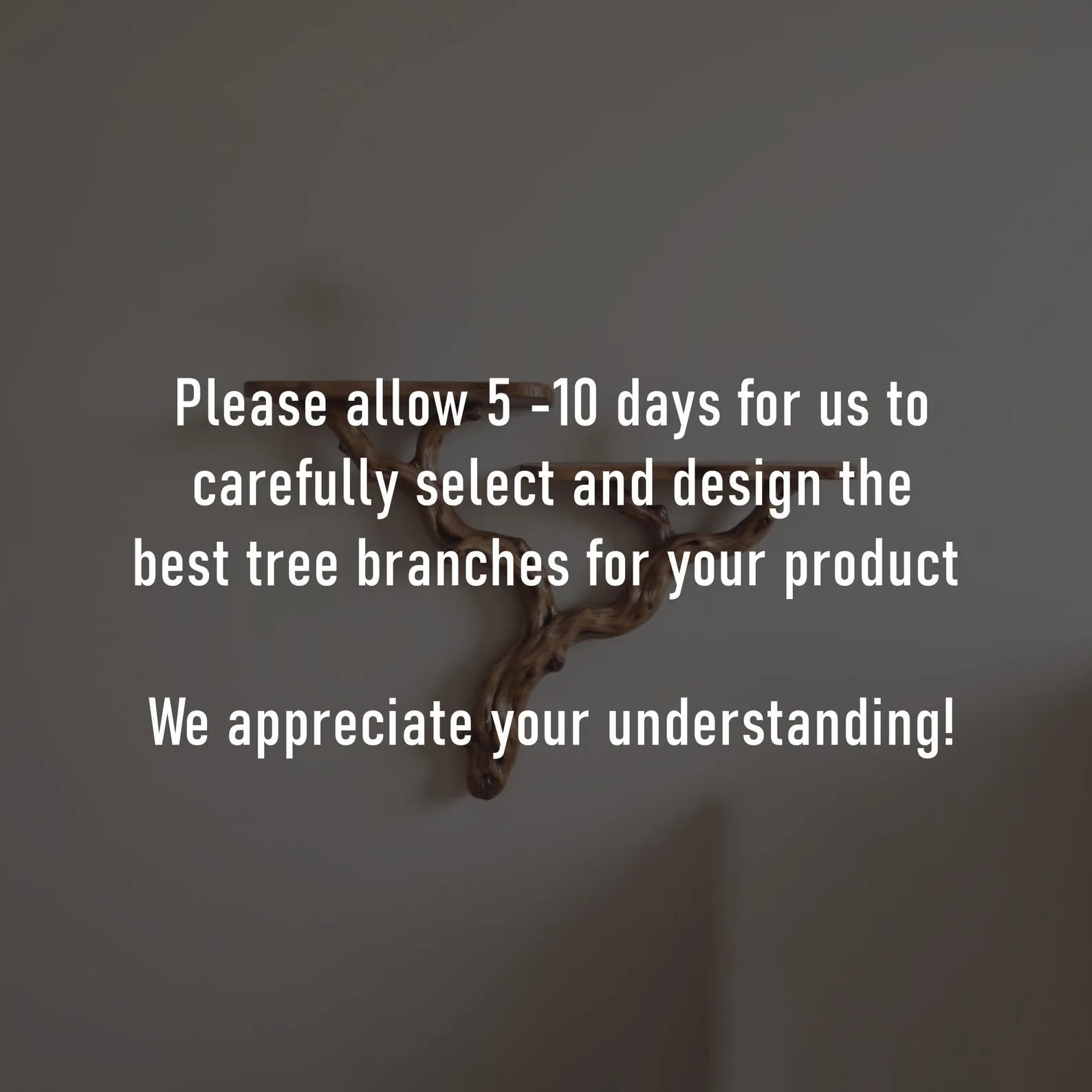 Natural driftwood shelf solidwood bookshelf art decor tree book shelves wall mount handmade furniture - Image 10