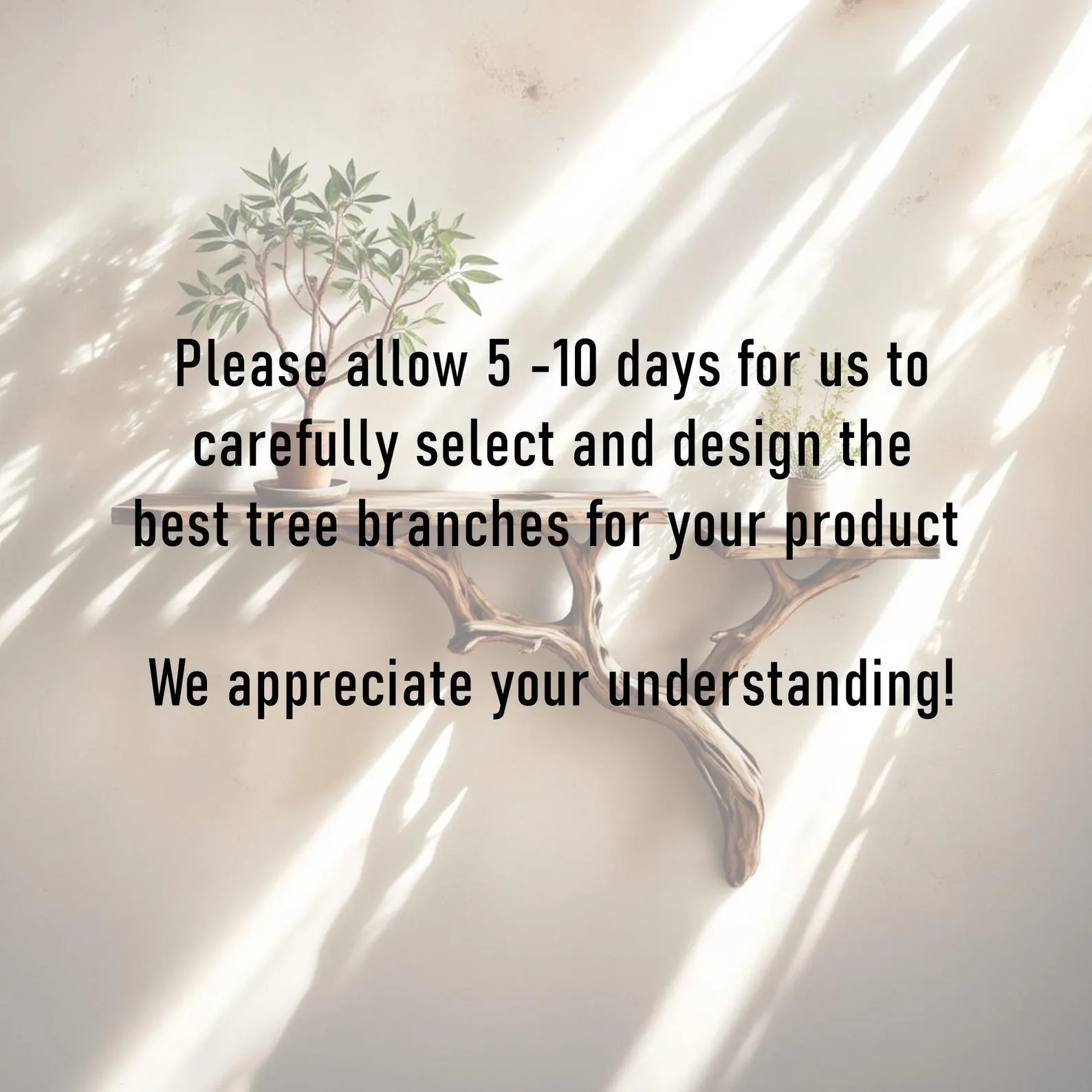 Driftwood shelf solidwood bookshelf art decor tree book shelves wall mount handmade furniture - Image 9