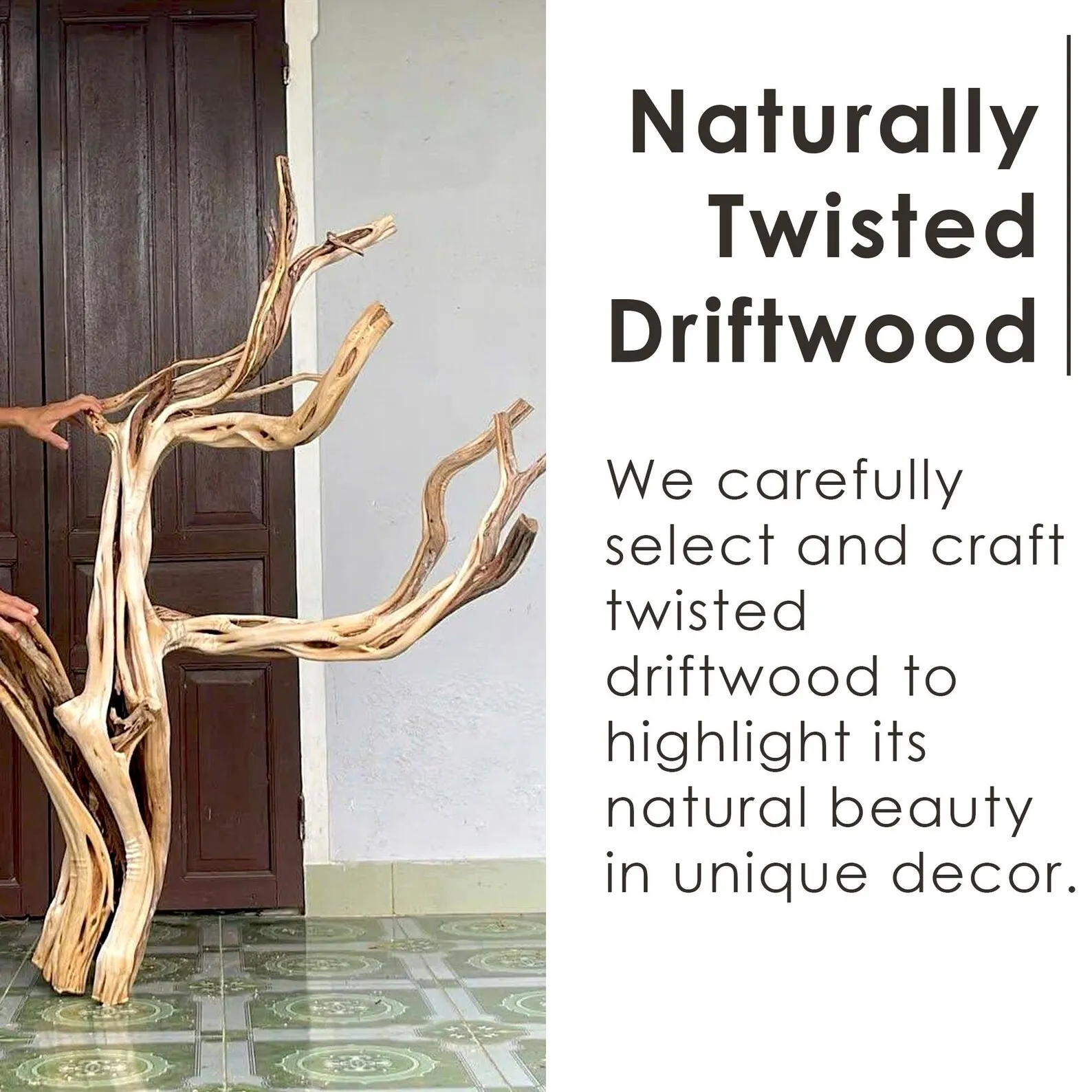 Driftwood solid wood bookcase tree branch bookshelf nightand plant stand handcrafted rustic living room furniture - Image 6