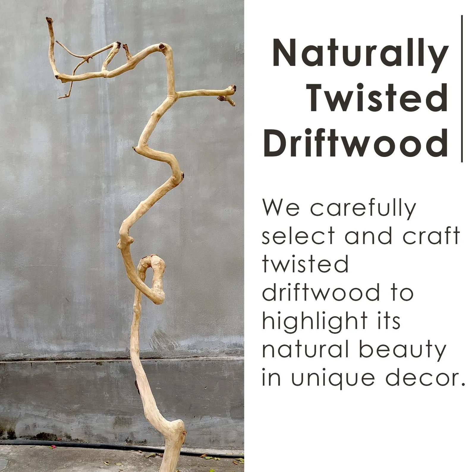 Driftwood tree jewerly shelf floating bookshelf natural wood hanging shelf necklace tree branch holder handmade furniture decoration - Image 9