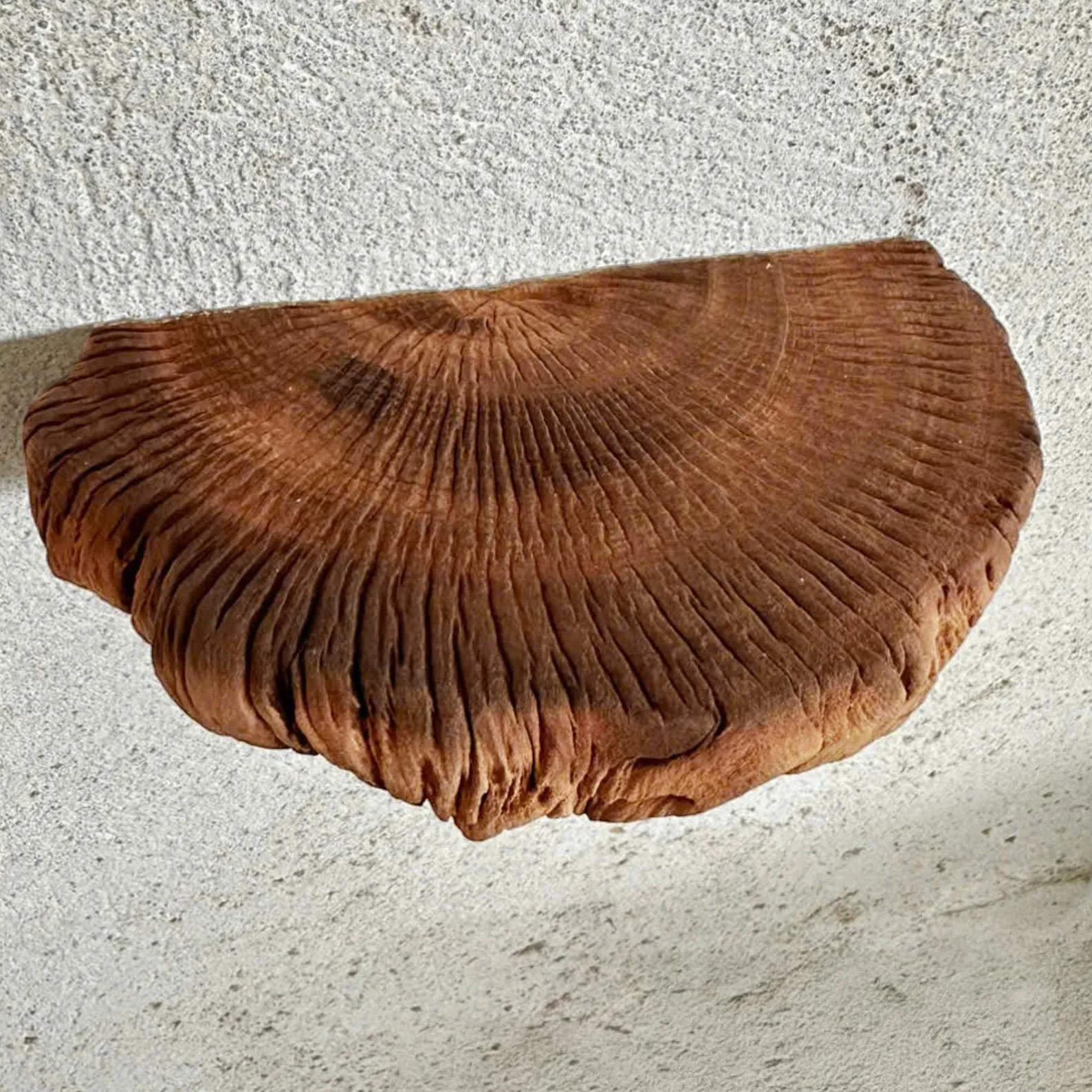 Floating shelf driftwood small corner floating bookshelves decor on wall mount art