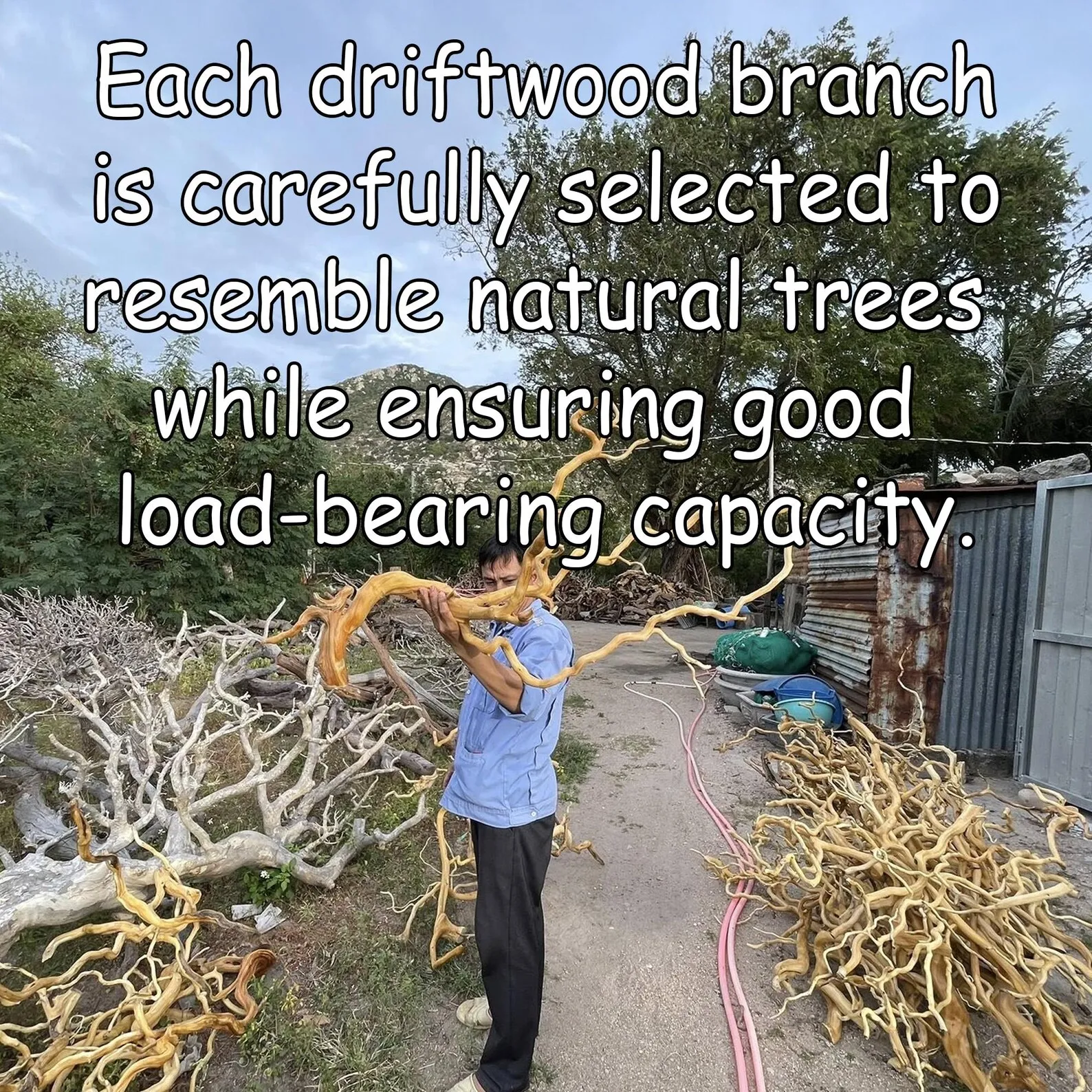 Handmade Tree Branch Bookshelf: Floating Wall Mount, Unique Wood Decor - Image 5