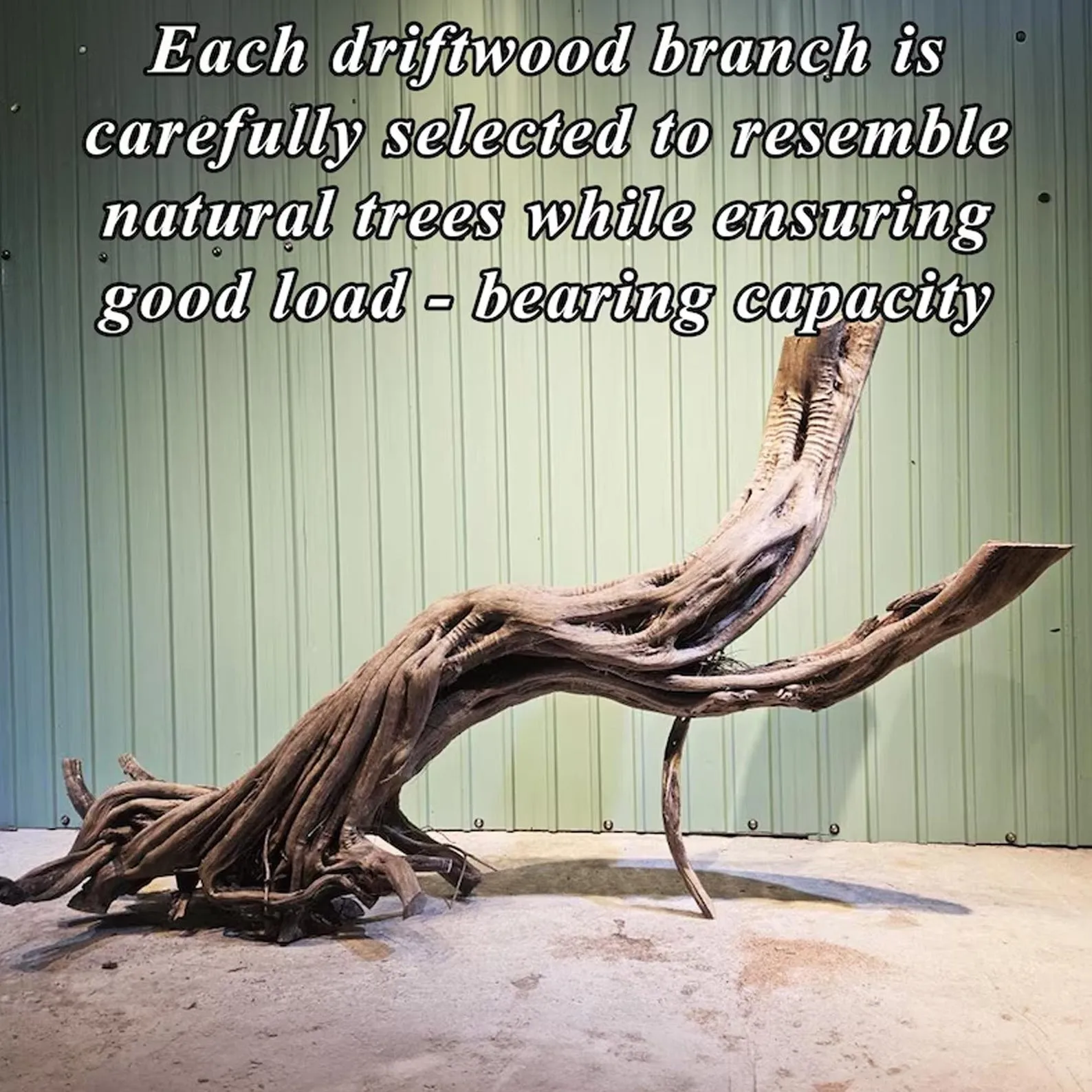 Tree branch bookshelf driftwood console table live edge floating wood shelves on wall handmade furniture - Image 2