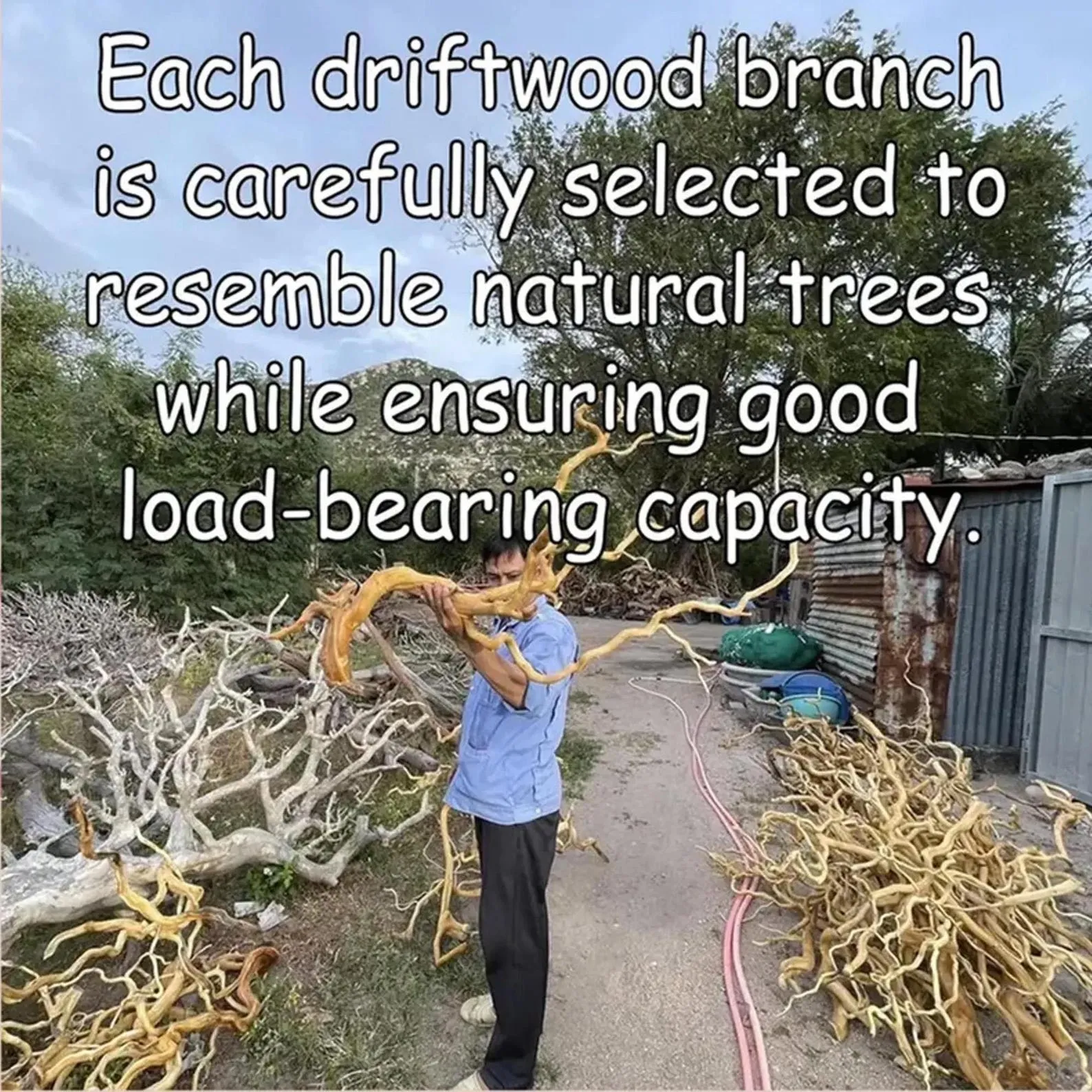 Tree branch book shelf driftwood branch solid wood tree corner floating shelf reclaimed wood bookcase - Image 7