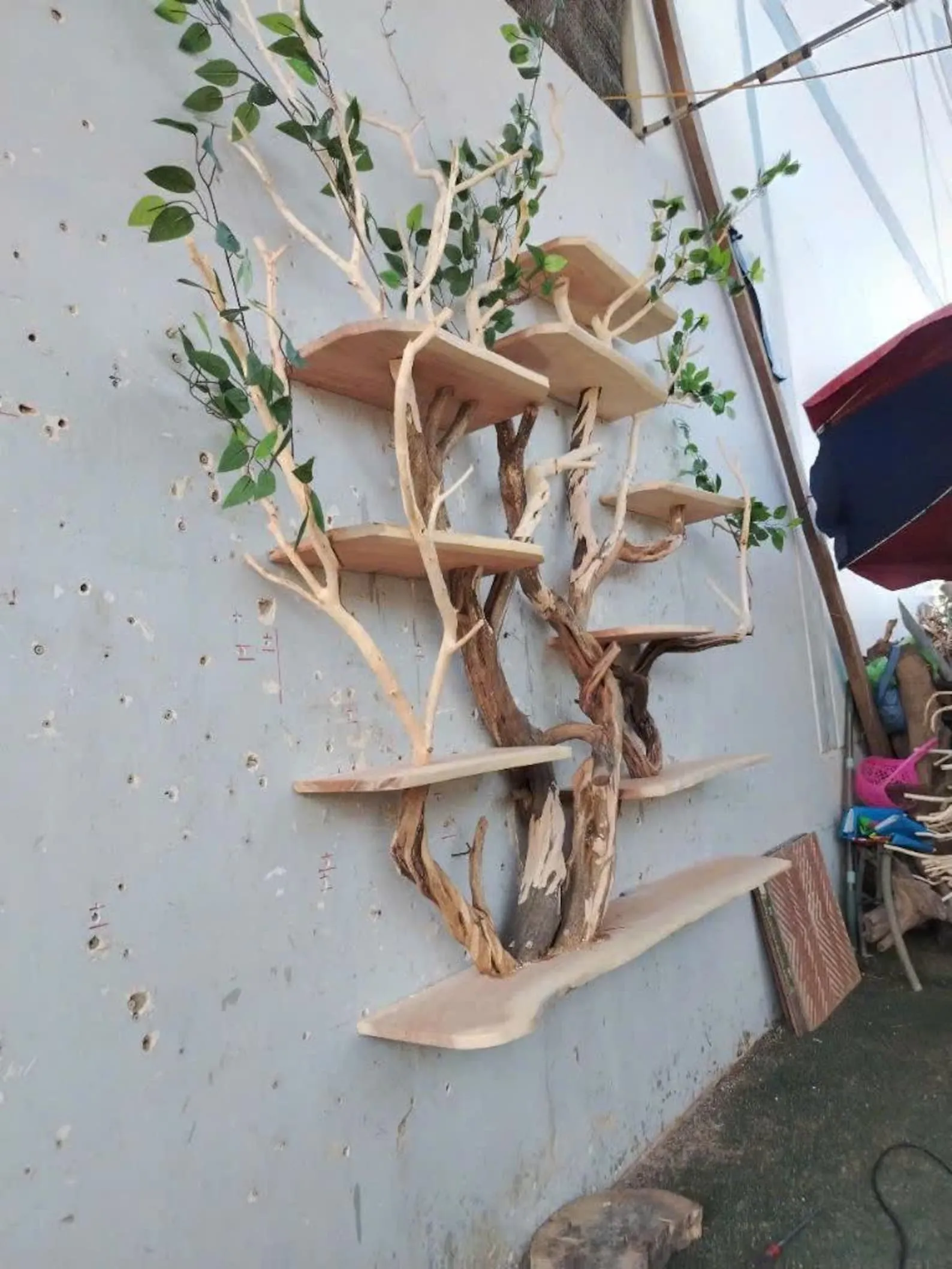 Tree branch floating book shelves on wall decor live edge wood custom bookshelf art - Image 10