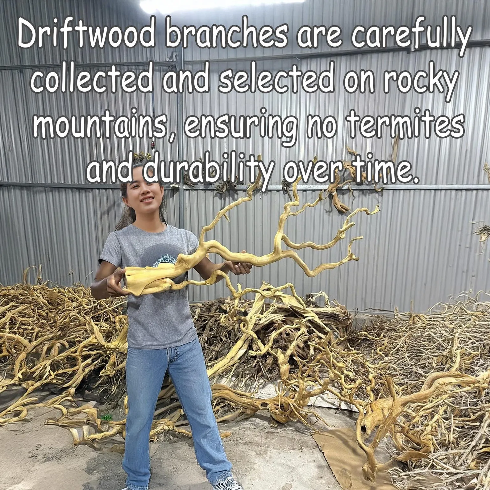 Tree branch floating book shelves on wall decor live edge wood custom bookshelf art - Image 2