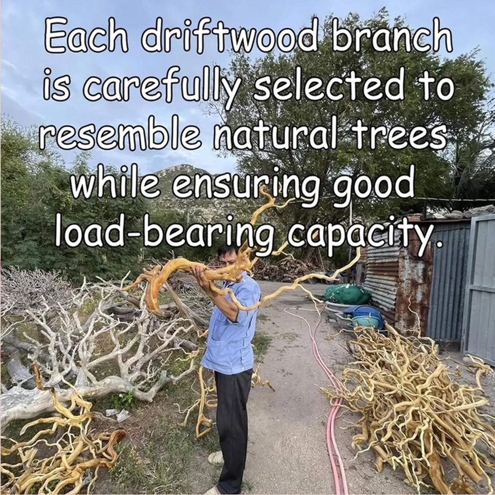 Floating corner shelf tree driftwood branch bookshelf wall mount solid wood bookcase handcrafted rustic furntiure - Image 2