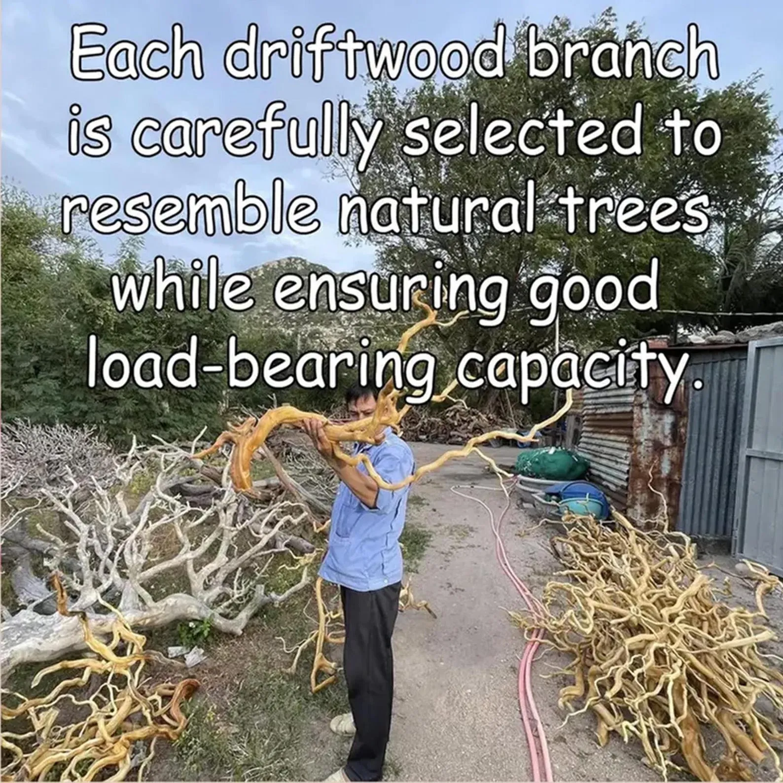 Handmade Tree Branch Bookshelf: Natural Wood Floating Wall Shelf - Image 6