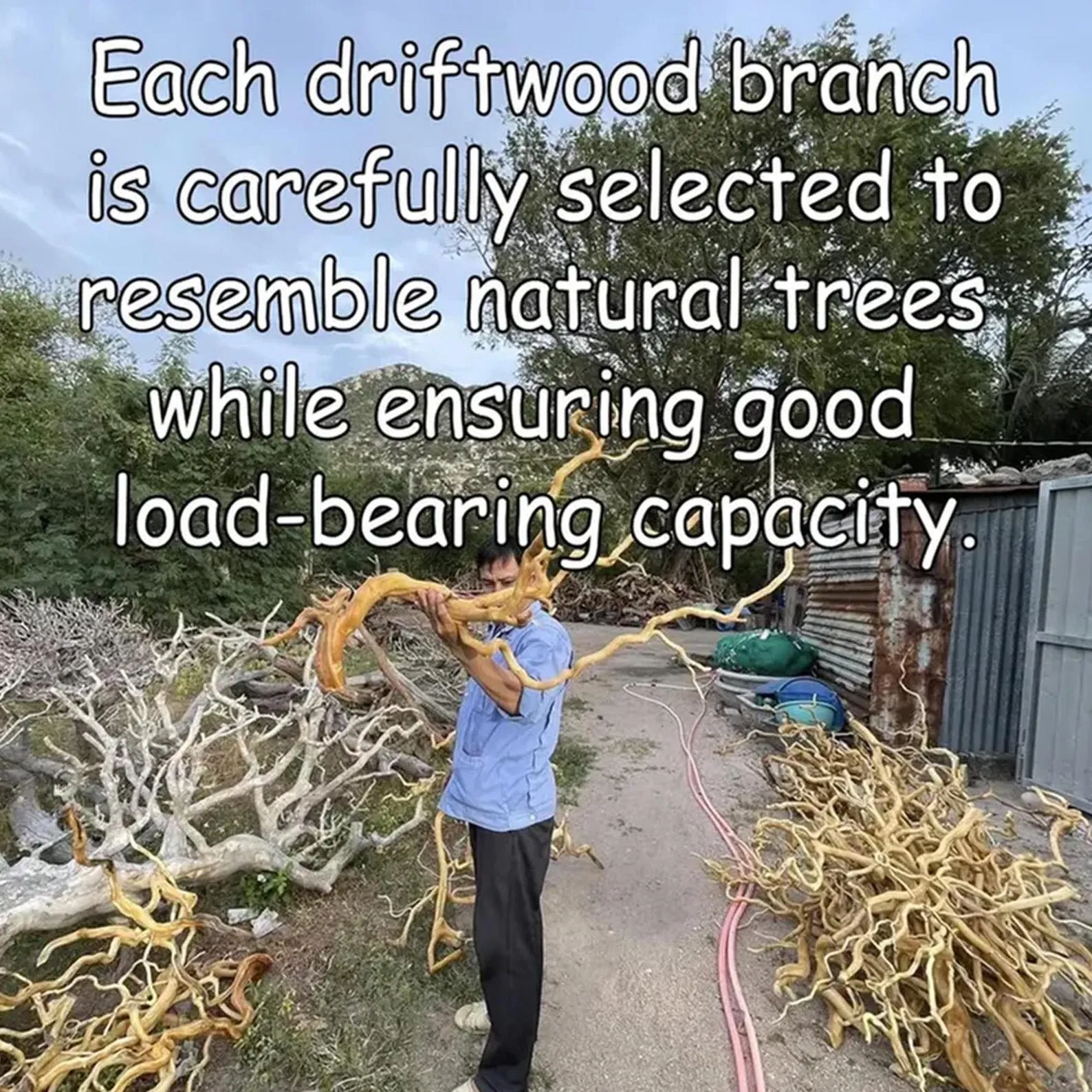 Handcrafted Tree Branch Bookshelf: Wall-Mounted Solid Wood Shelf - Image 6