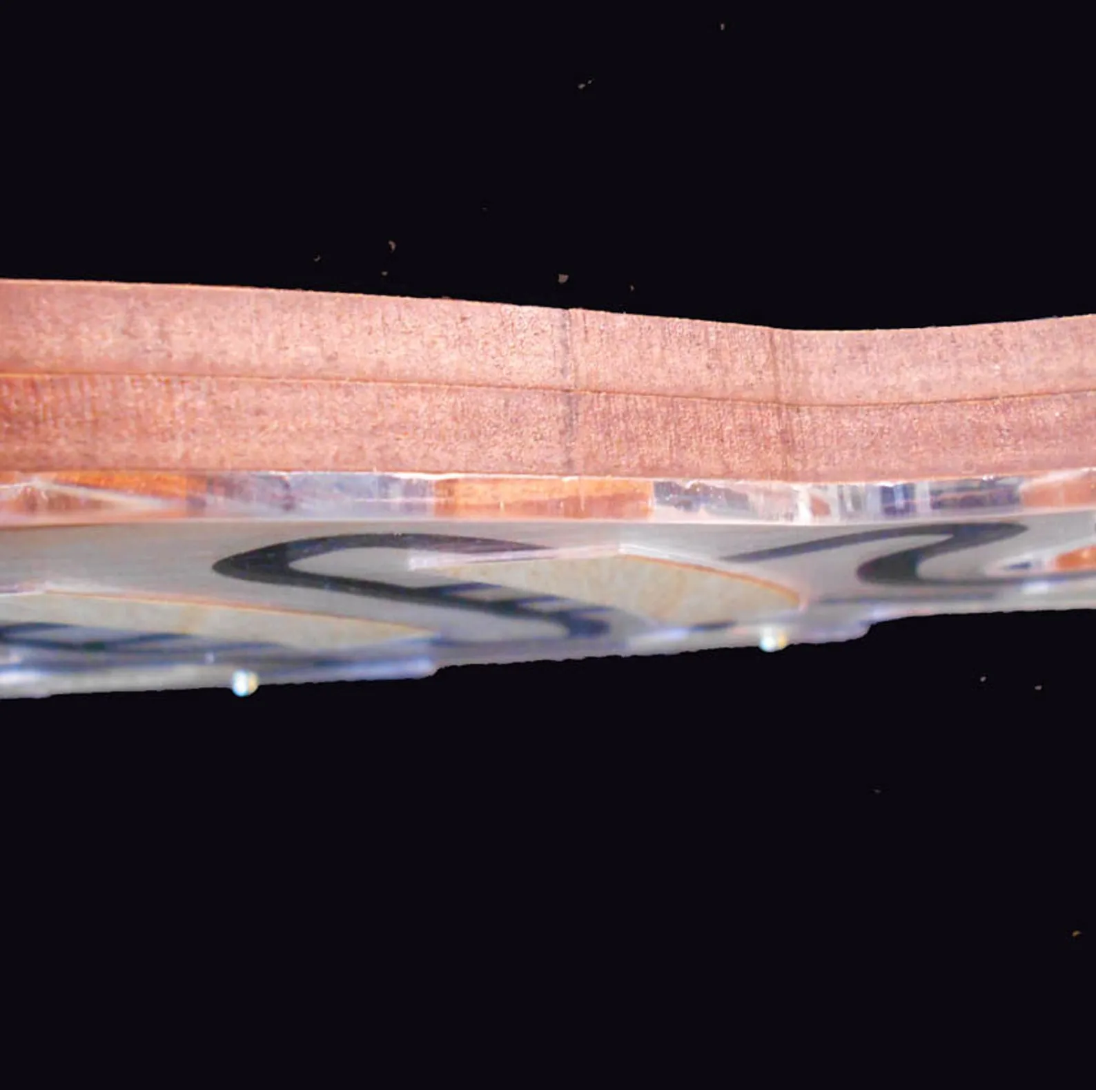 Forever Wild Rocky mountains picture frame puzzle - Challenging 8 animals and a Pine tree puzzle - Unique and attractive hardwood puzzle - Image 4