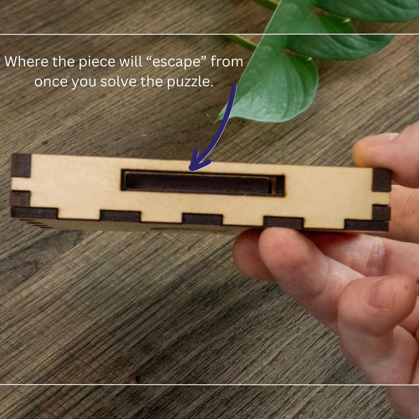 Great Dog Escape - Wooden Sliding Brain Teaser Puzzle - Image 4