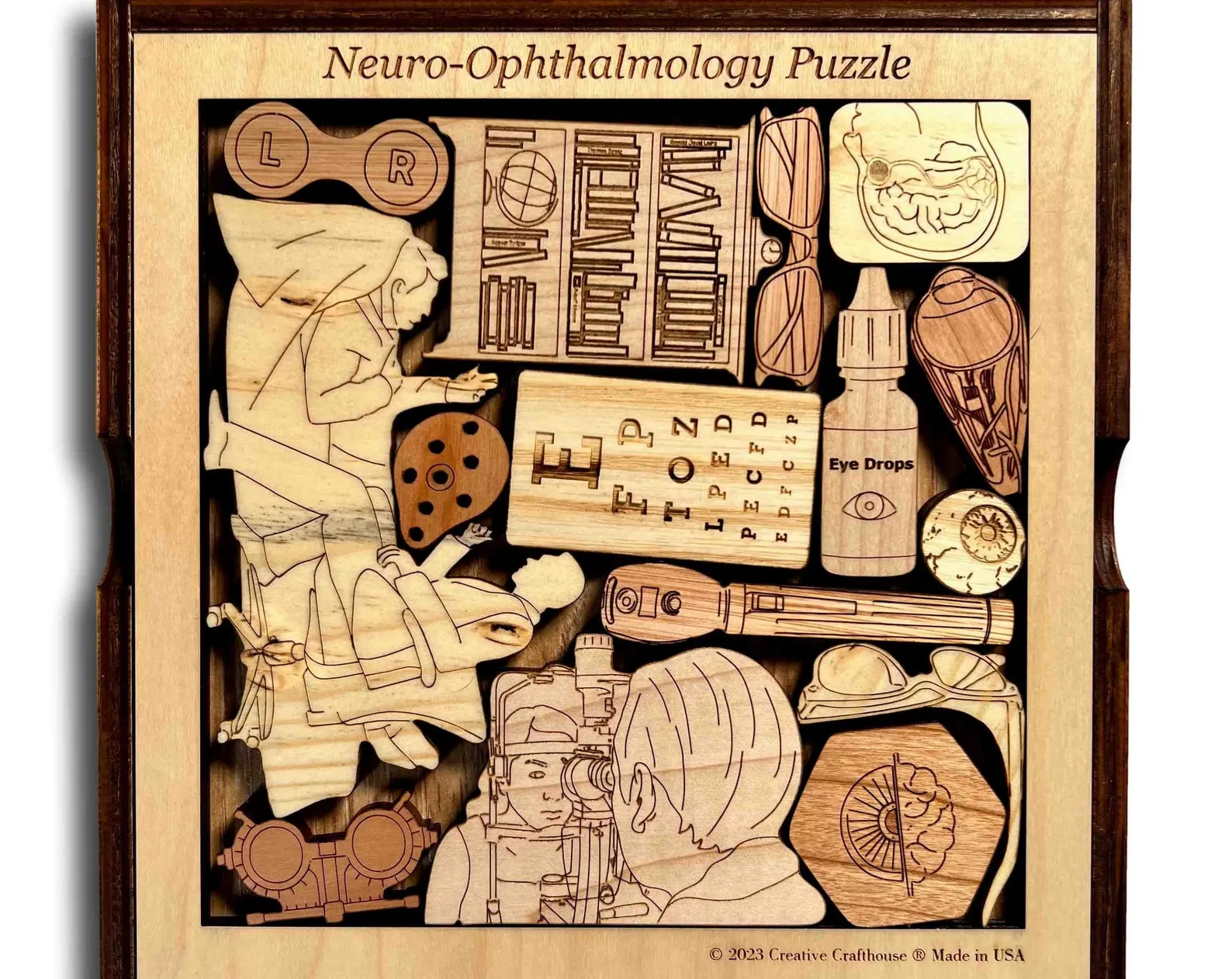 Neuro Ophthalmology Puzzle, Personalized Ophthalmology Gift, Eye Doctor Puzzle, Thank You Gift, Brain Teaser Puzzle, Unique Puzzle Gift