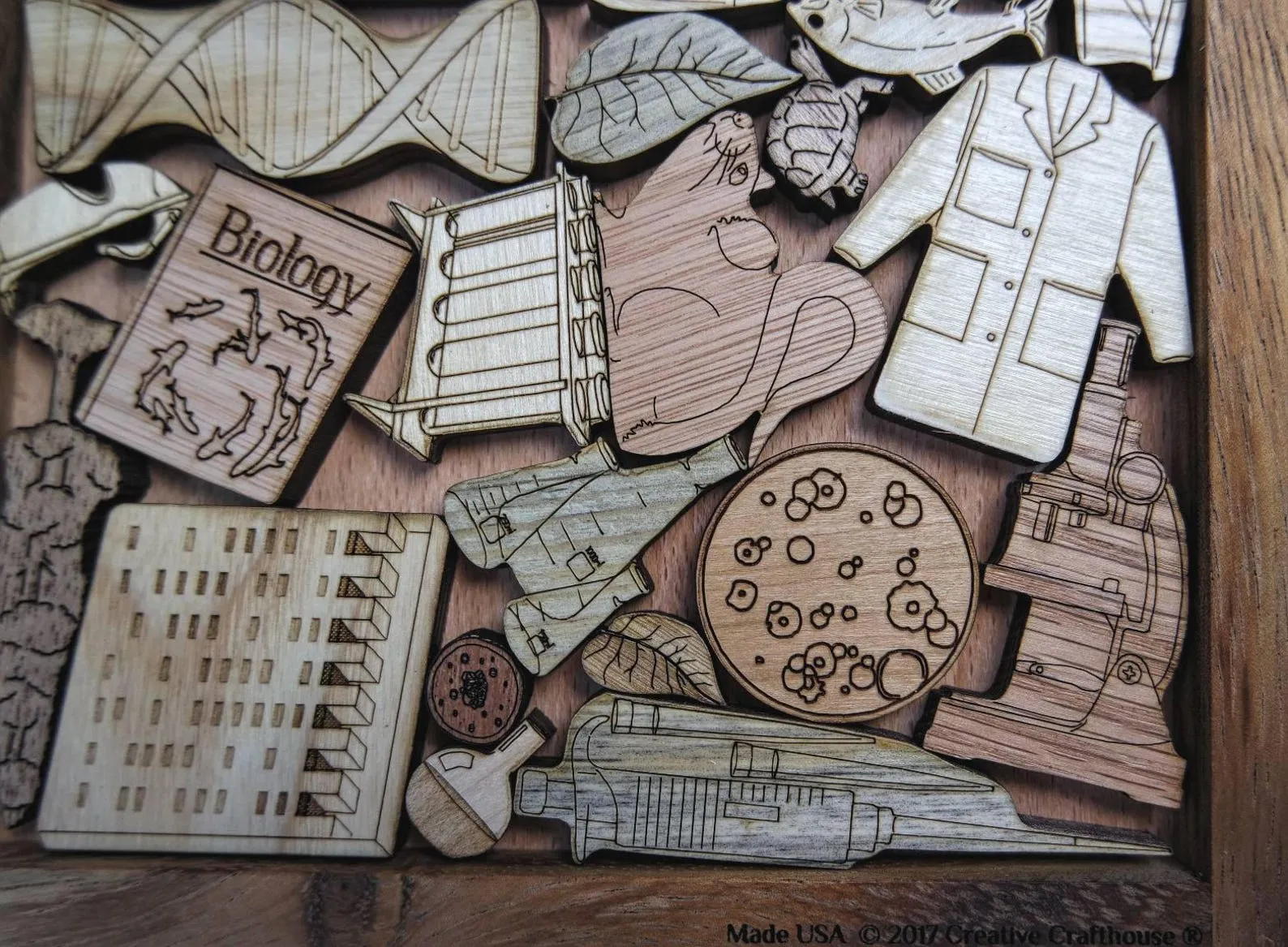 Biologist Puzzle - Biology Scientists Dilemma - Picture Frame Puzzle - Scientist Gift - all Wood Puzzle - Image 2