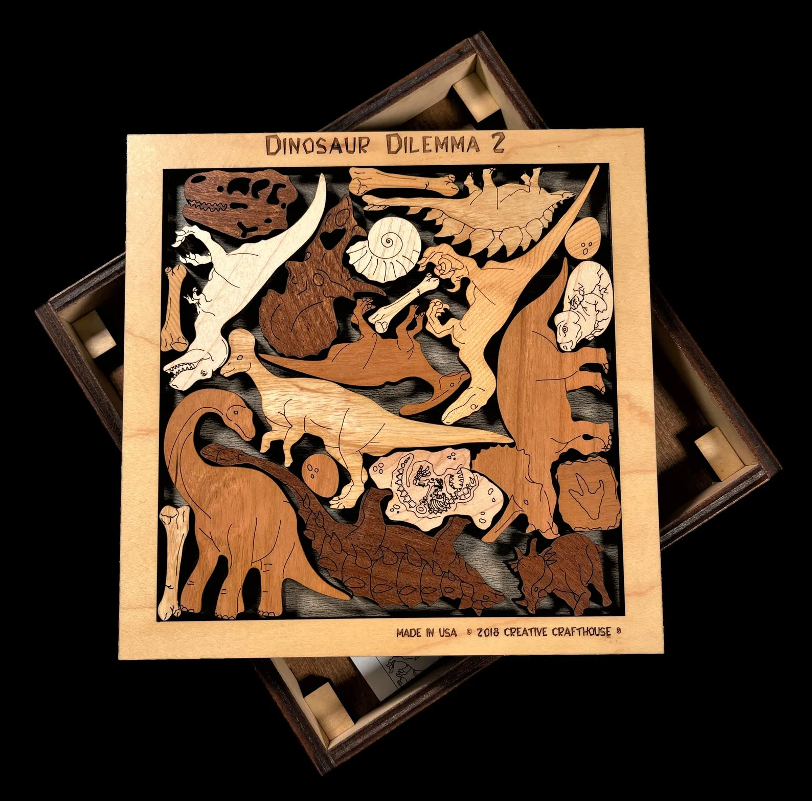 Dinosaur Dilemma II  Tough and artistic