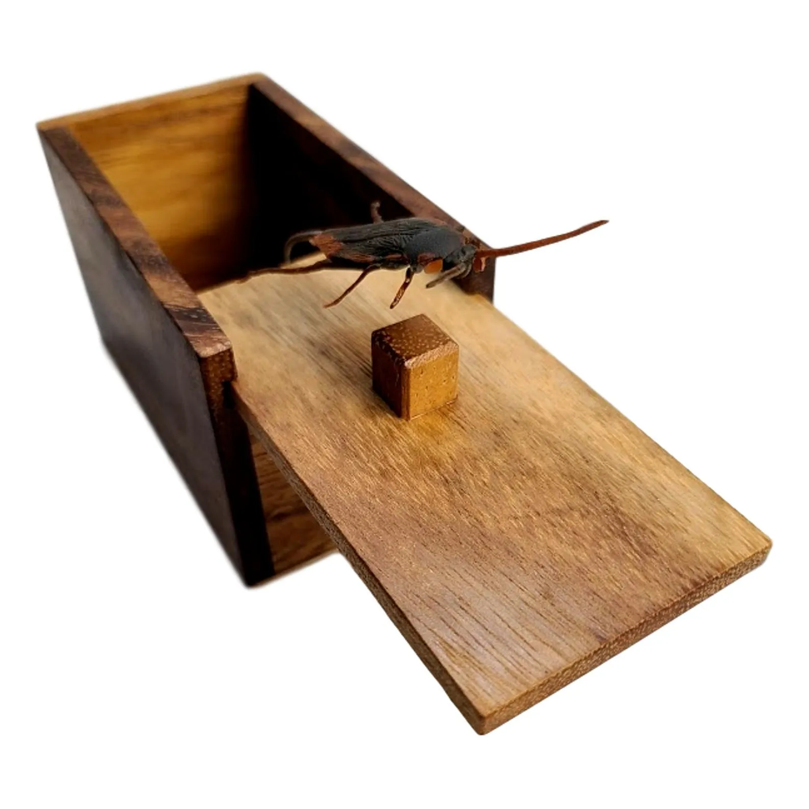 Prank Box Gift, Funny Birthday Box, Gag Gift Box, The Bug Box, Wood Box, Funny Joke Gift, Funny Jokes, Halloween Gift For Him, Scare Box