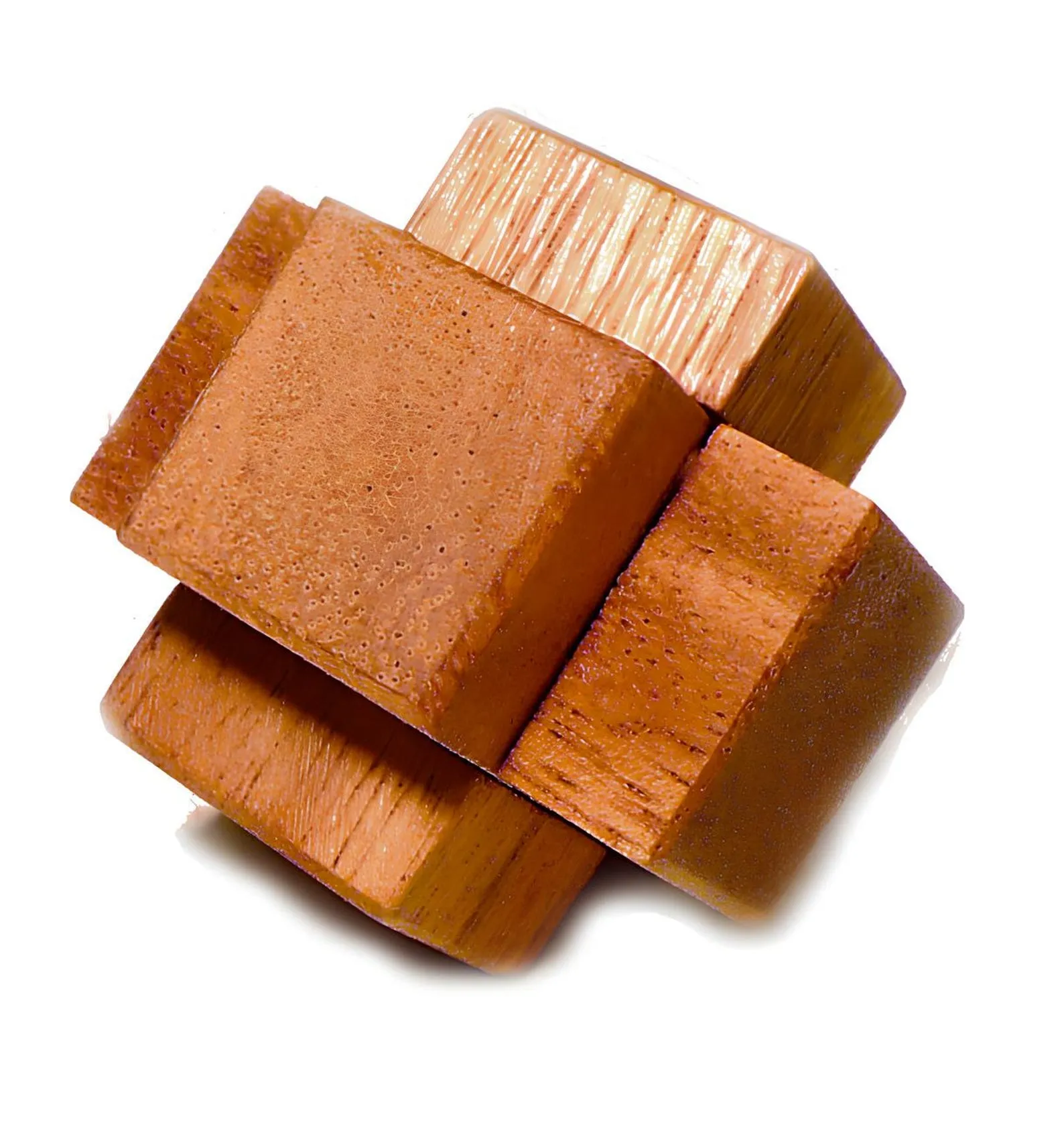 Tree Mini - 3D Brain Teaser in Fine Wood - Difficulty 3/6 Hard - Leonardo da Vinci Collection